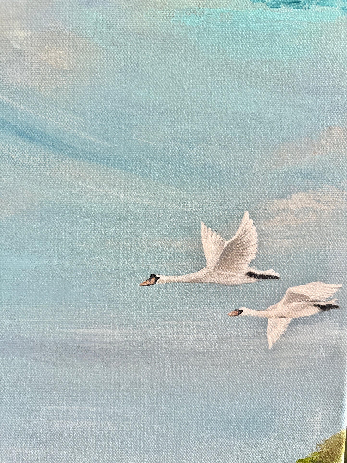 Windswept serenity